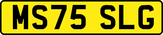 MS75SLG