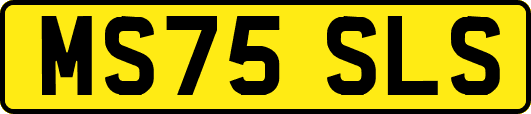 MS75SLS