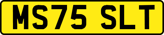 MS75SLT