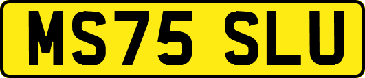 MS75SLU
