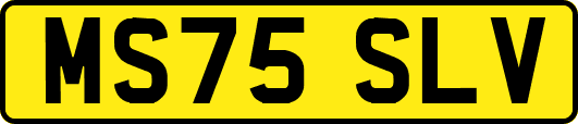 MS75SLV