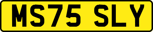 MS75SLY
