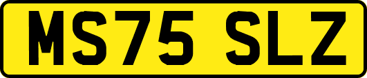 MS75SLZ