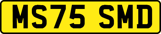 MS75SMD