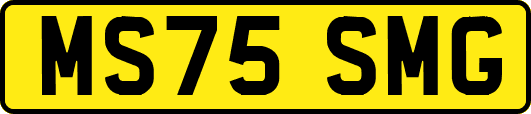 MS75SMG
