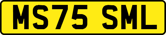 MS75SML