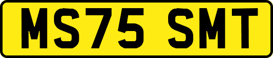MS75SMT