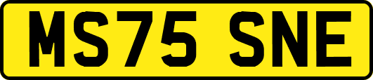 MS75SNE