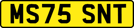 MS75SNT