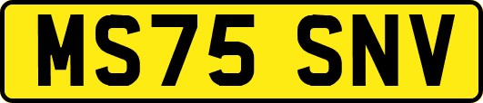 MS75SNV