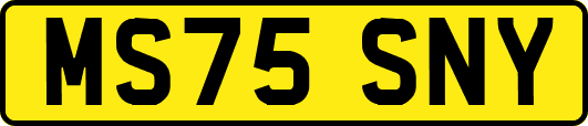 MS75SNY