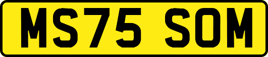 MS75SOM