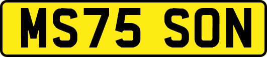 MS75SON