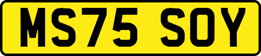 MS75SOY