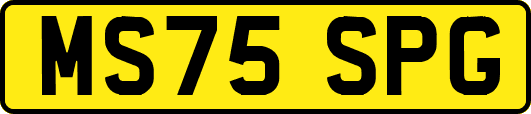 MS75SPG