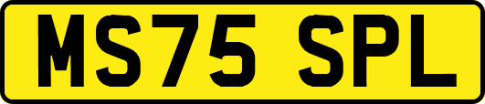 MS75SPL
