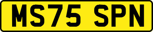 MS75SPN