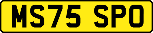 MS75SPO