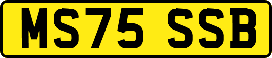 MS75SSB