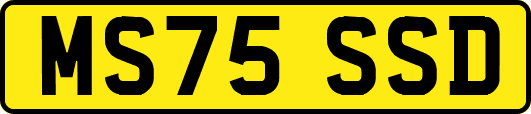 MS75SSD