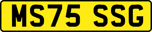 MS75SSG