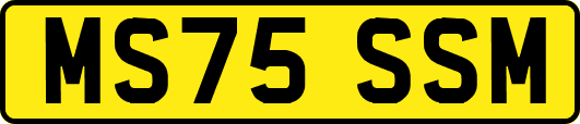 MS75SSM