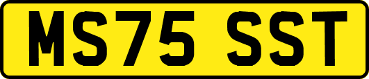MS75SST