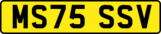 MS75SSV