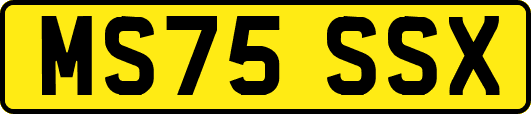 MS75SSX