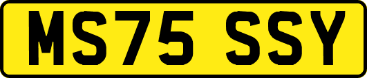 MS75SSY