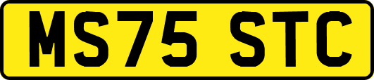 MS75STC