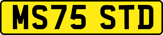 MS75STD