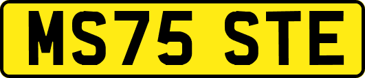 MS75STE