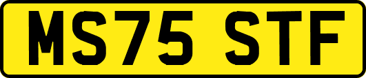 MS75STF