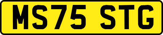 MS75STG