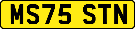 MS75STN