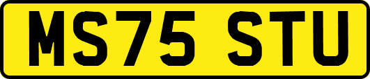 MS75STU