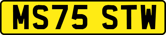 MS75STW