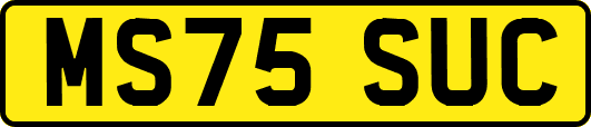 MS75SUC