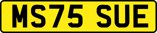 MS75SUE