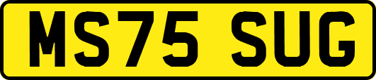 MS75SUG
