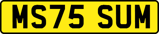 MS75SUM