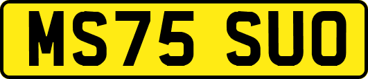 MS75SUO