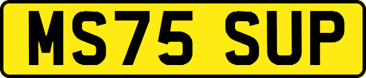 MS75SUP
