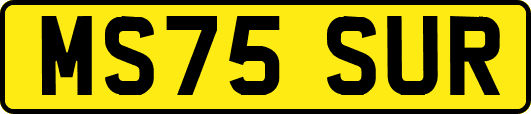 MS75SUR
