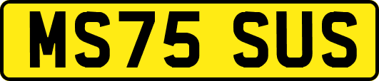MS75SUS