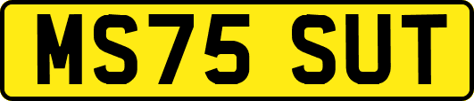MS75SUT