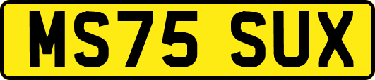 MS75SUX