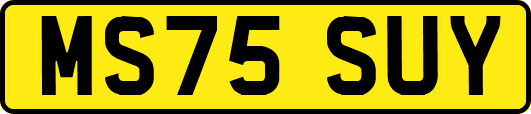 MS75SUY