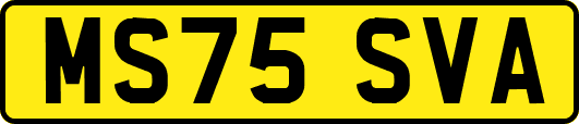 MS75SVA